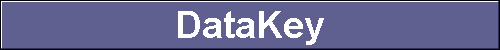  DataKey 